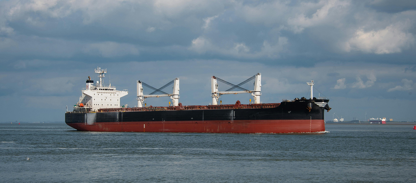 A dry bulk ship