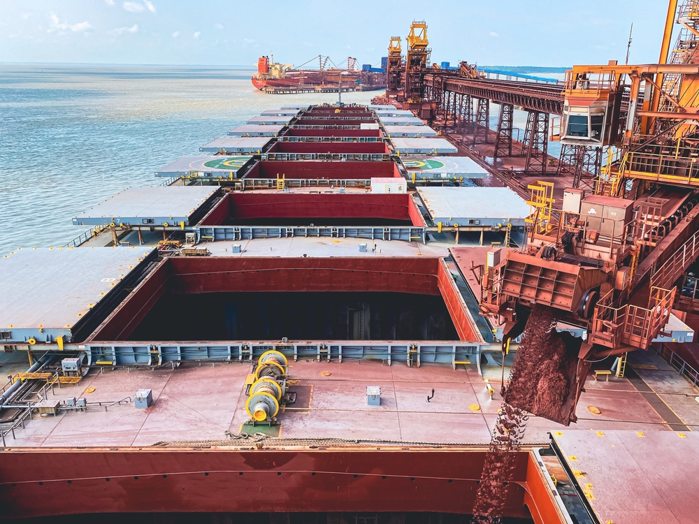 A dry bulk ship